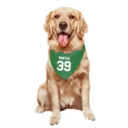 Washington Capitals Anthony Mantha Green Pet Bandana for Dog & Cat
