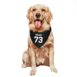 Washington Capitals Conor Sheary Black Pet Bandana for Dog & Cat