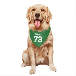 Washington Capitals Conor Sheary Green Pet Bandana for Dog & Cat