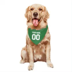 Washington Capitals Custom Green Pet Bandana for Dog & Cat