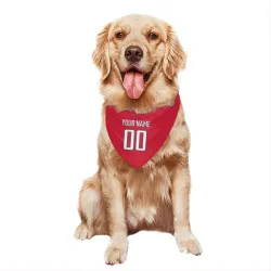 Washington Capitals Custom Red Pet Bandana for Dog & Cat