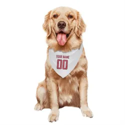 Washington Capitals Custom White Pet Bandana for Dog & Cat