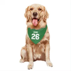 Washington Capitals Nic Dowd Green Pet Bandana for Dog & Cat