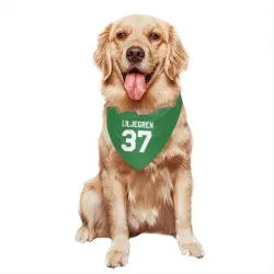 Washington Capitals Timothy Liljegren Green Pet Bandana for Dog & Cat