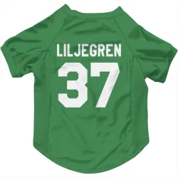 Washington Capitals Timothy Liljegren Green Pet Jersey for Dog & Cat