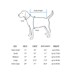 Washington Capitals Timothy Liljegren White Pet Jersey for Dog & Cat